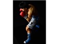 �͂��߂̈�� ���V����� -fighting pose-
