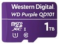 WDD100T1P0C [1TB]