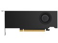 NVIDIA RTX A2000 ENQRA2000-6GER [PCIExp 6GB]
