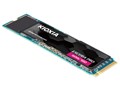 EXCERIA PRO SSD-CK2.0N4P/N
