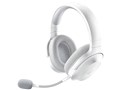 Barracuda X RZ04-03800200-R3M1 [Mercury White]