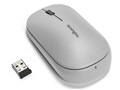 SureTrack Dual Wireless Mouse K75351JP [�O���[]