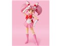 S.H.Figuarts �Z�[���[���у��[�� -Animation Color Edition-