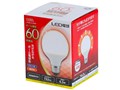 LDG6L-G AS93 [�d���F]