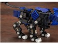 �]�C�h -ZOIDS- 1/72 RZ-007 �V�[���h���C�K�[ �}�[�L���O�v���XVer.