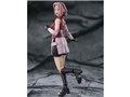 S.H.Figuarts �t��T�N�� -�t������̕�����C-