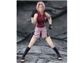S.H.Figuarts �t��T�N�� -�t������̕�����C-