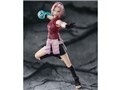 S.H.Figuarts �t��T�N�� -�t������̕�����C-