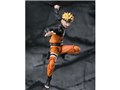 S.H.Figuarts �����܂��i���g -��]������ꂽ����̐l����-