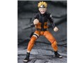 S.H.Figuarts �����܂��i���g -��]������ꂽ����̐l����-