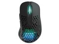 M4 RGB Wireless M4W-RGB-BLACK [BLACK]