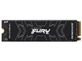 FURY Renegade SSD SFYRS/1000G