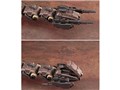�]�C�h -ZOIDS- 1/72 �S�W�����X�E�W�E�I�[�K [2022�N11��]