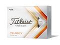 VELOCITY 2022�N���f�� [�z���C�g]