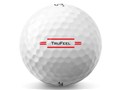 TRUFEEL 2022�N���f�� [�z���C�g]