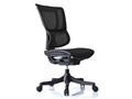 Ergohuman Smart EHS KMD31 [�u���b�N]