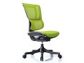 Ergohuman Smart EHS KMD34 [�O���[��]