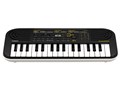 Casiotone SA-51 [�u���b�N×���C�g�O���[]
