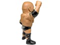 16d�\�t�r�R���N�V����021 WWE The Rock (�U�E���b�N)