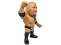16d�\�t�r�R���N�V����021 WWE The Rock (�U�E���b�N)