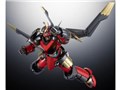 RIOBOT �V���˔j�O�������K�� �ό`���̃O�������K��
