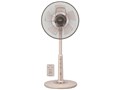 R30J-RB-T [�R�R�A�x�[�W��]