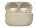 w{ tix LinkBuds S WF-LS900N (C) [GN]̐i摜