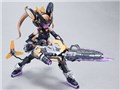 �����P RAIDER OF SHADOW RS-01 �q�l �v���X�`�b�N���f���L�b�g