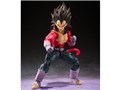 S.H.Figuarts �X�[�p�[�T�C���l4�x�W�[�^