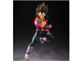 S.H.Figuarts �X�[�p�[�T�C���l4�x�W�[�^