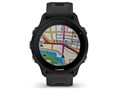 Forerunner 955 010-02638-E0 [Black]