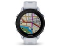 Forerunner 955 010-02638-E1 [White]