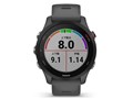 Forerunner 255 010-02641-42 [Slate Grey]