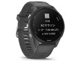 Forerunner 255 010-02641-42 [Slate Grey]