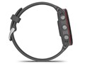 Forerunner 255 010-02641-42 [Slate Grey]