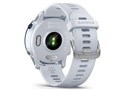 Forerunner 255 Music 010-02641-57 [Whitestone]