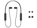WI-C100 (B) [ubN]̐i摜