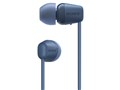WI-C100 (L) [u[]̐i摜