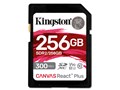 SDR2/256GB [256GB]