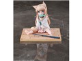 �����̂˂������̎q�ł��킢�� ���Ȃ� �����肨������ver. 1/6 �����i�t�B�M���A ���T�t�����