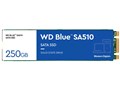 WD Blue SA510 SATA WDS250G3B0B