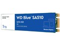 WD Blue SA510 SATA WDS100T3B0B
