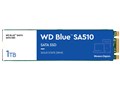 WD Blue SA510 SATA WDS100T3B0B