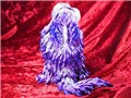 Artistic Monsters Collection(AMC)�w�h���㗤�� �A���V�X�g Ver.
