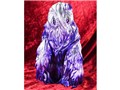Artistic Monsters Collection(AMC)�w�h�� ������ �A���V�X�g Ver.