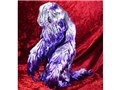 Artistic Monsters Collection(AMC)�w�h�� ������ �A���V�X�g Ver.