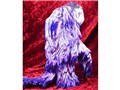 Artistic Monsters Collection(AMC)�w�h�� ������ �A���V�X�g Ver.