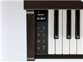 DIGITAL PIANO CN201R [�v���~�A�����[�Y�E�b�h��]