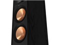 REFERENCE R-800F [�P�i]
