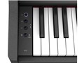 Digital Piano RP107 [�u���b�N]